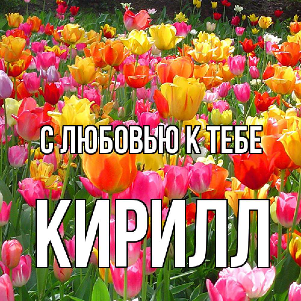 Открытка  с именем. Кирилл, С любовью к тебе  