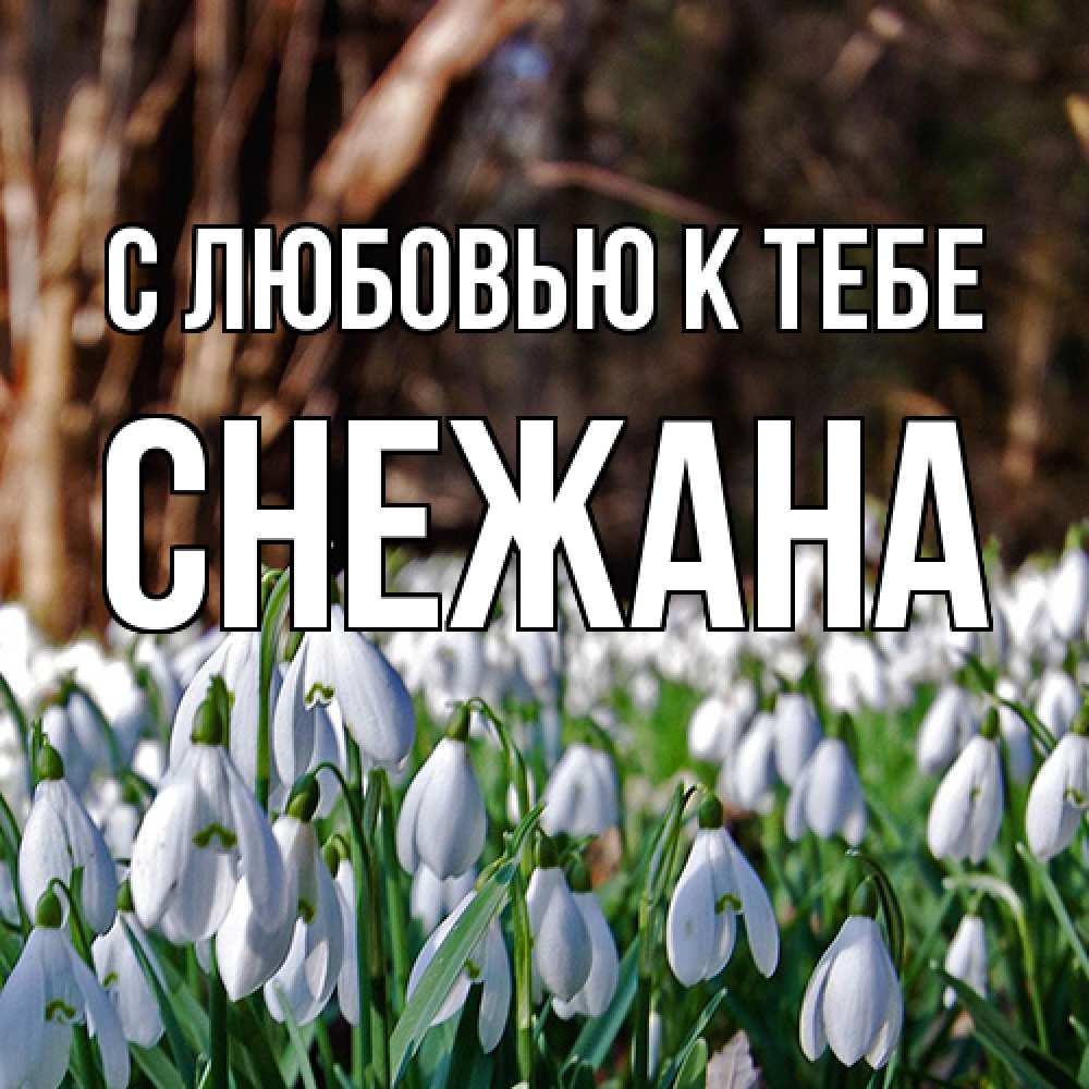 Открытка  с именем. Снежана, С любовью к тебе  