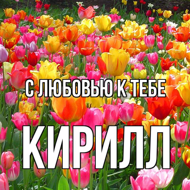 Картинка С любовью к тебе, Кирилл