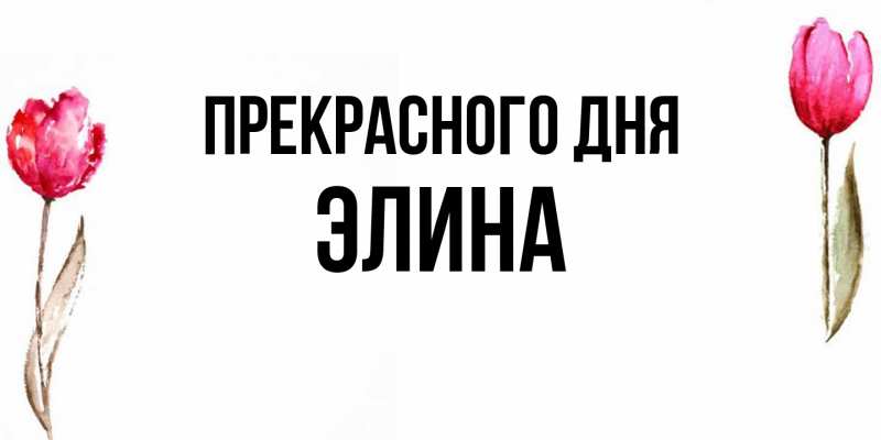 Картинка Прекрасного дня, Элина