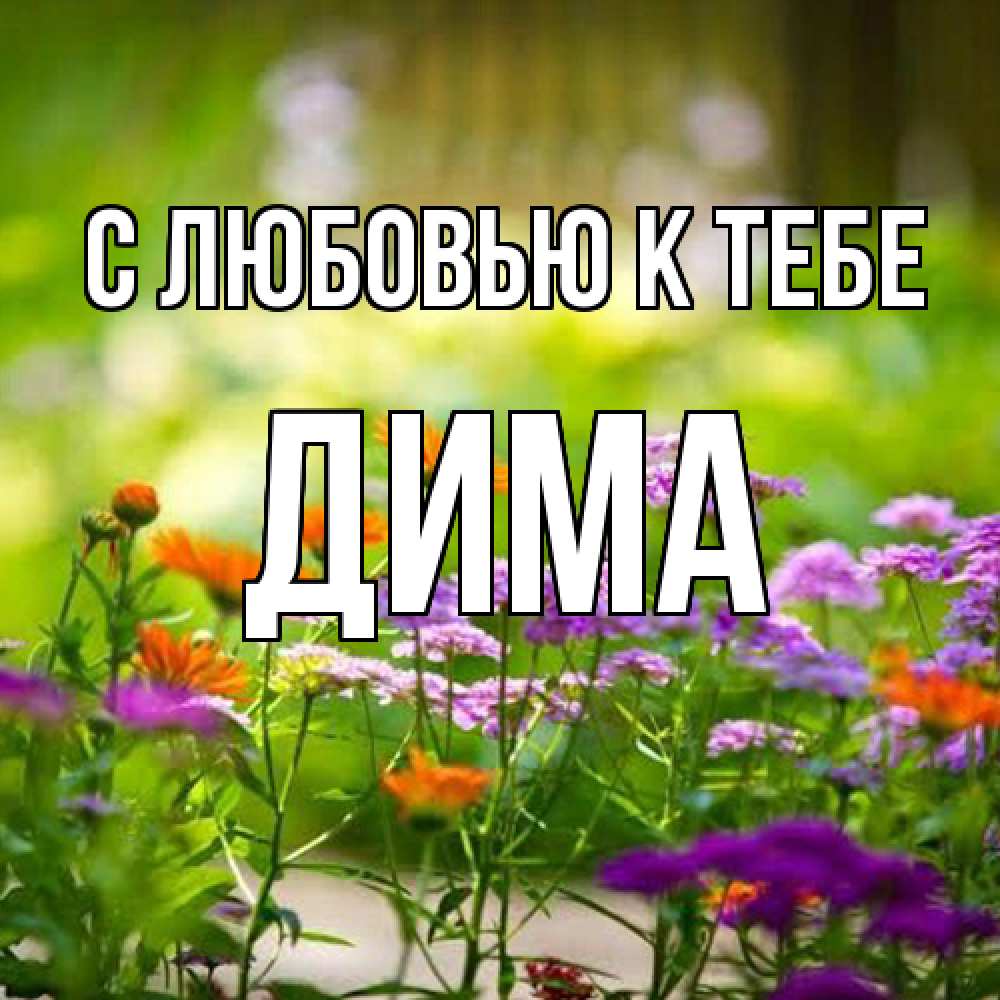 Открытка  с именем. Дима, С любовью к тебе  