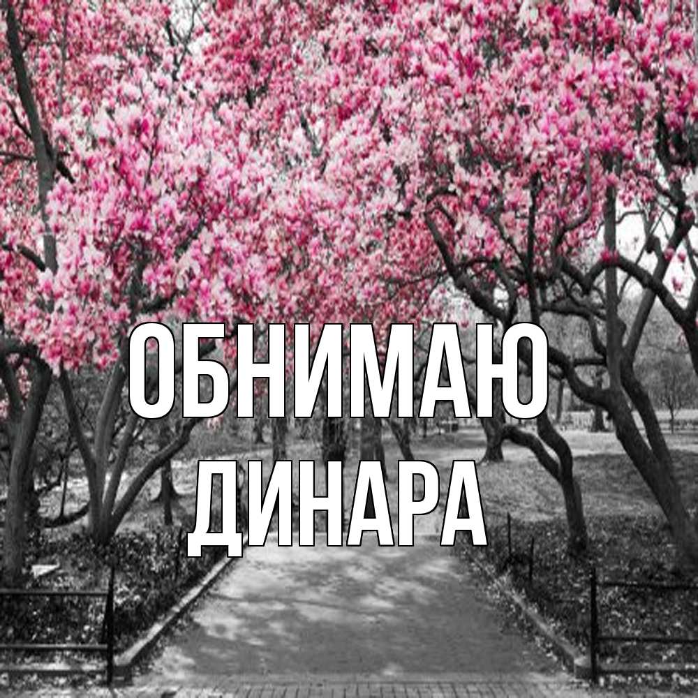 Открытка  с именем. Динара, Обнимаю  