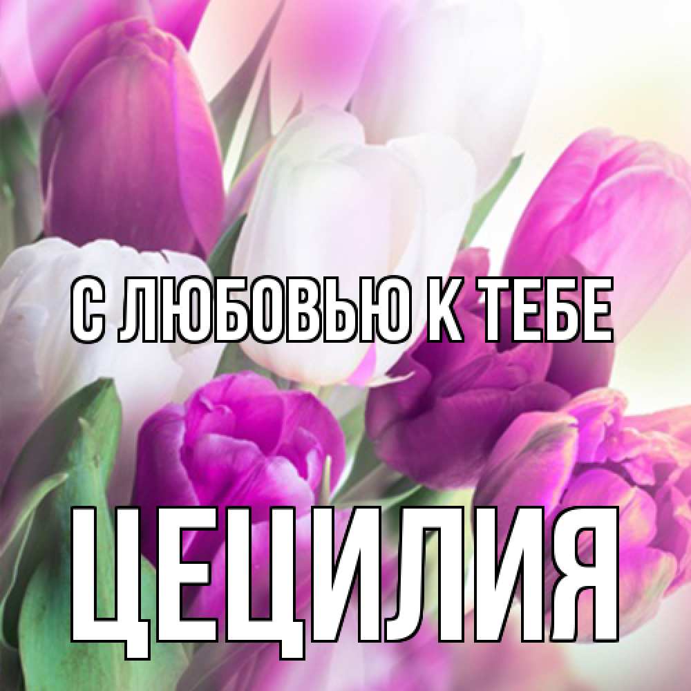Открытка  с именем. Цецилия, С любовью к тебе  