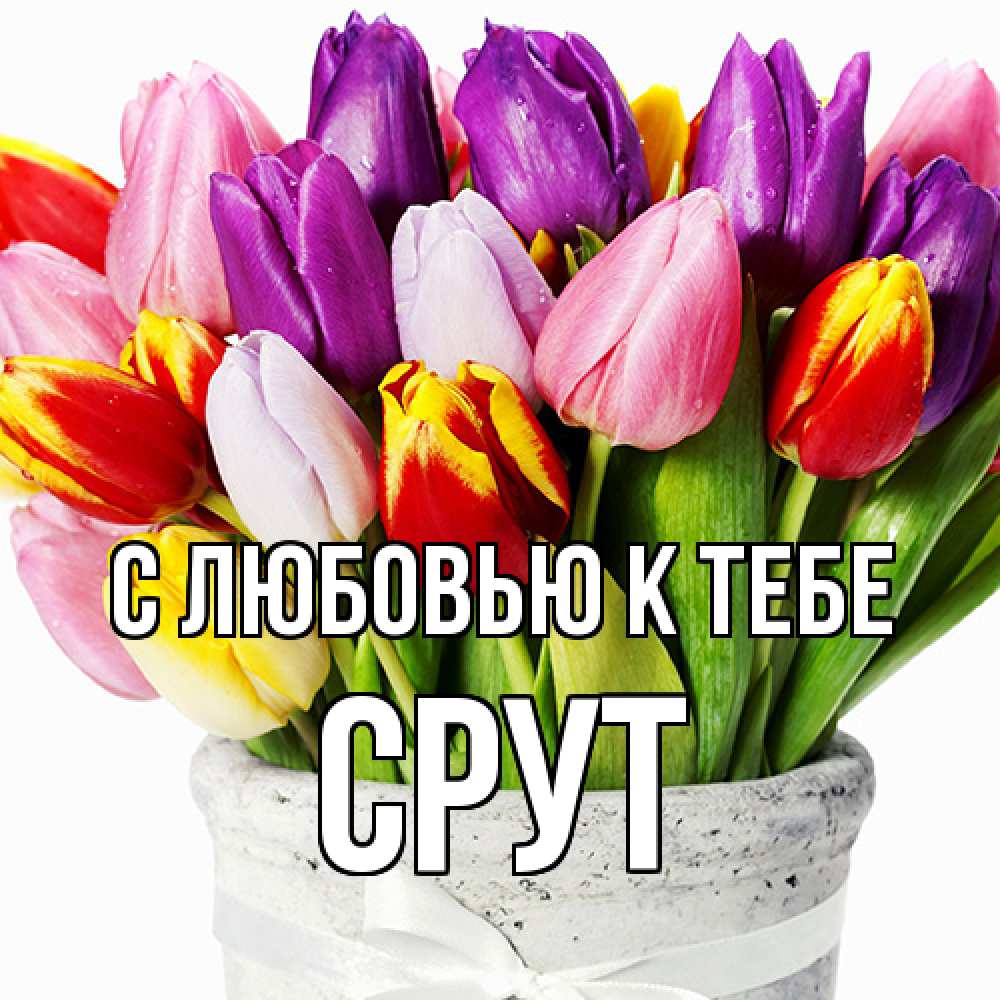 Открытка  с именем. срут, С любовью к тебе  