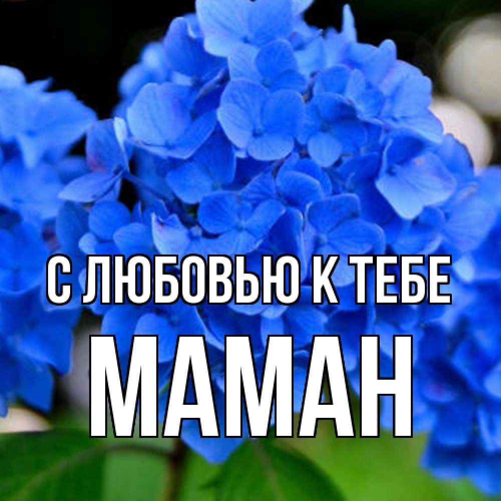 Открытка  с именем. Маман, С любовью к тебе  