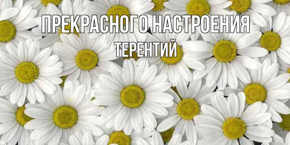 Открытка  с именем. Терентий, Прекрасного настроения  