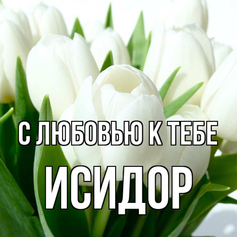 Картинка С любовью к тебе, Исидор
