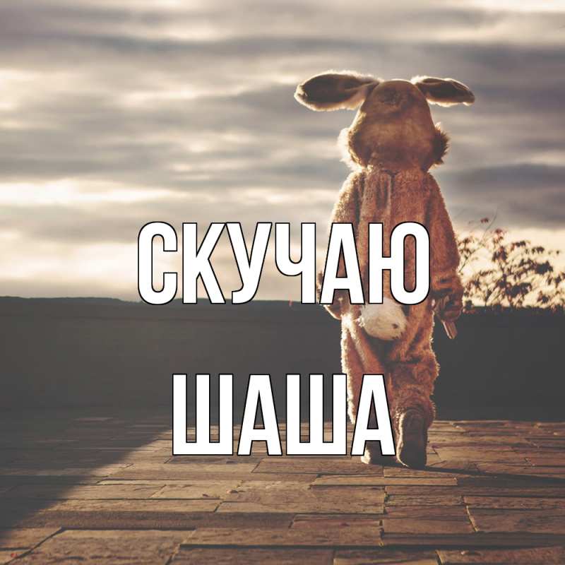 Картинка Скучаю, Шаша