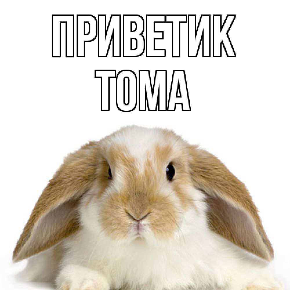 Открытка  с именем. Тома, приветик  