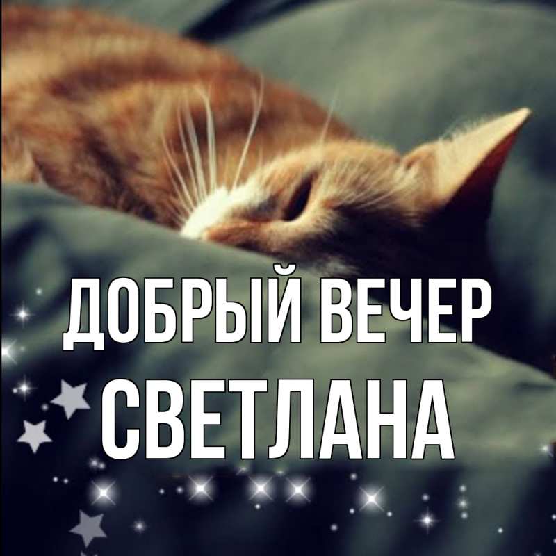 Картинка Добрый вечер, Светлана