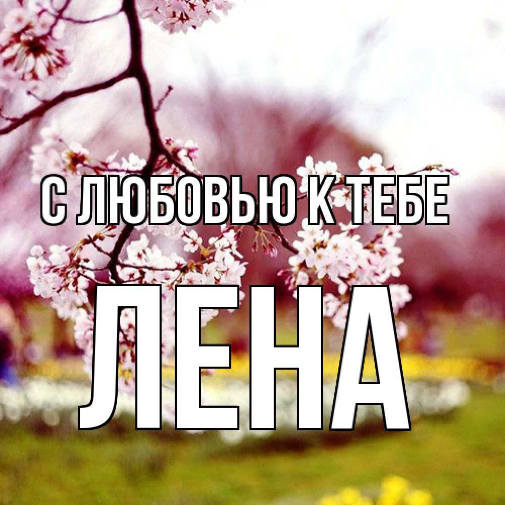 Открытка  с именем. лена, С любовью к тебе  