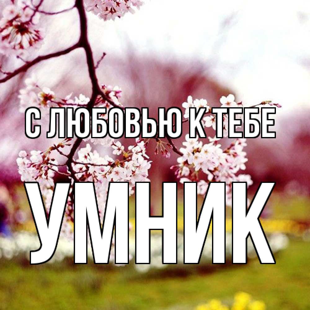 Открытка  с именем. Умник, С любовью к тебе  