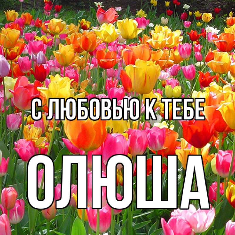 Картинка С любовью к тебе, Олюша