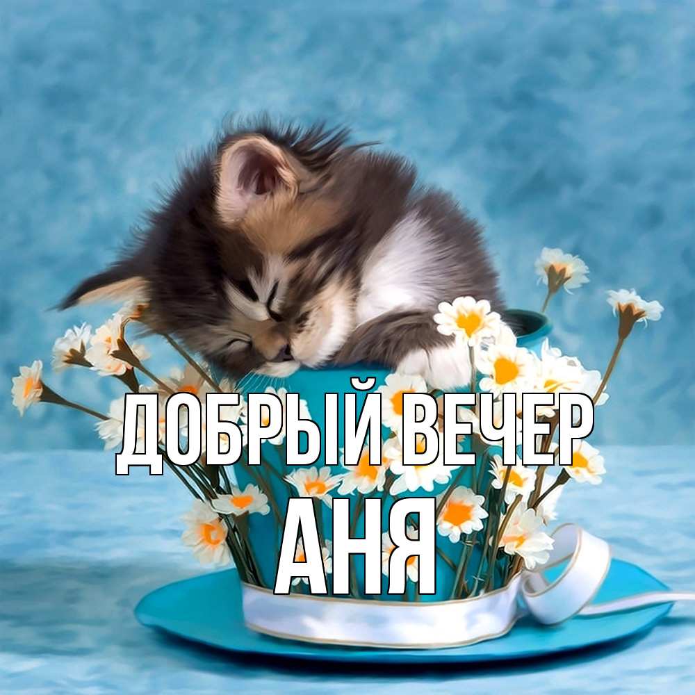 Открытка  с именем. аня, Добрый вечер  