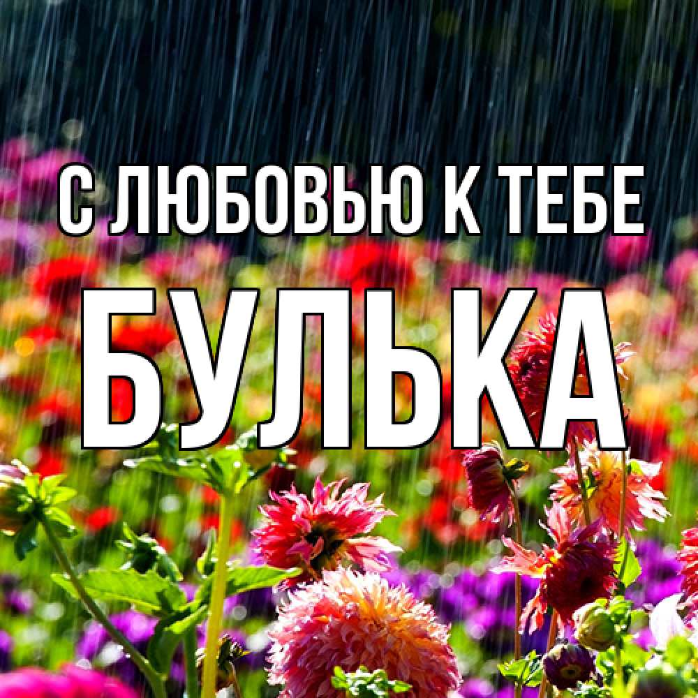 Открытка  с именем. Булька, С любовью к тебе  