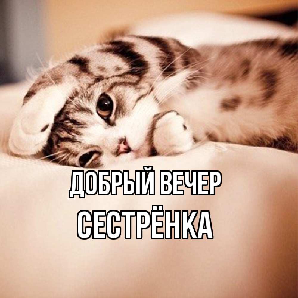 Открытка  с именем. Сестрёнка, Добрый вечер  