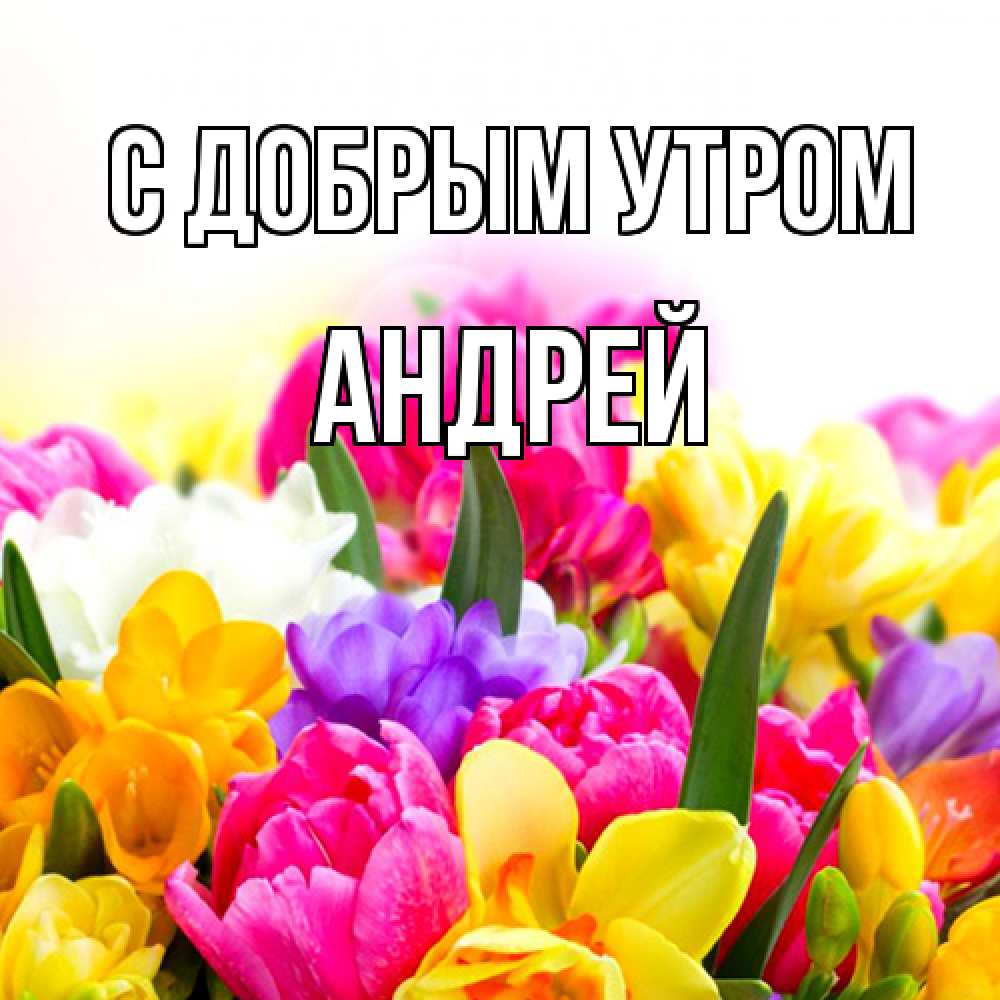 Открытка  с именем. Андрей, С добрым утром  