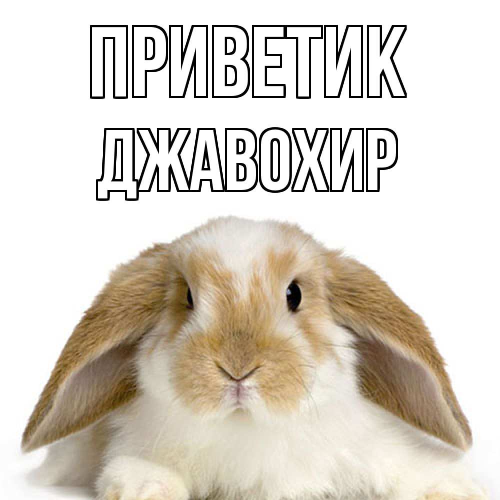 Открытка  с именем. Джавохир, приветик  