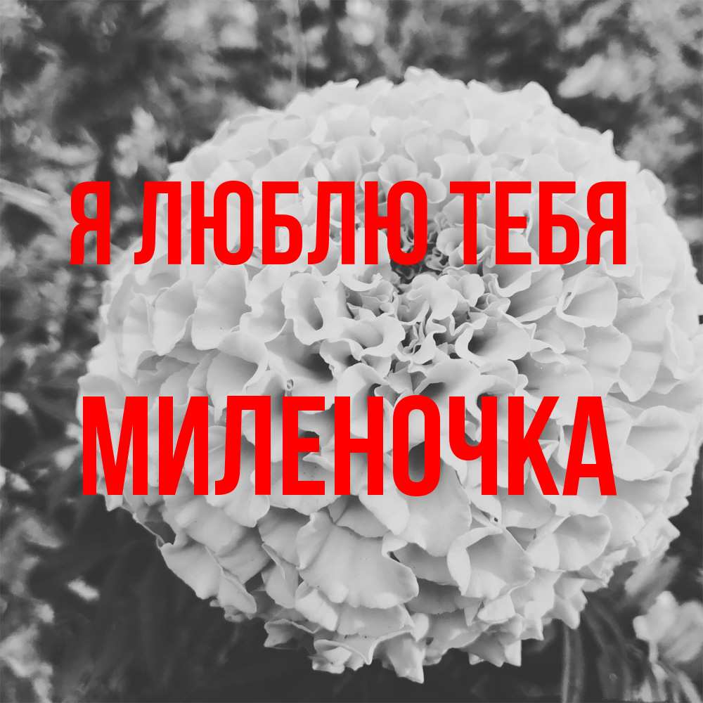 Открытка  с именем. Миленочка, Я люблю тебя  