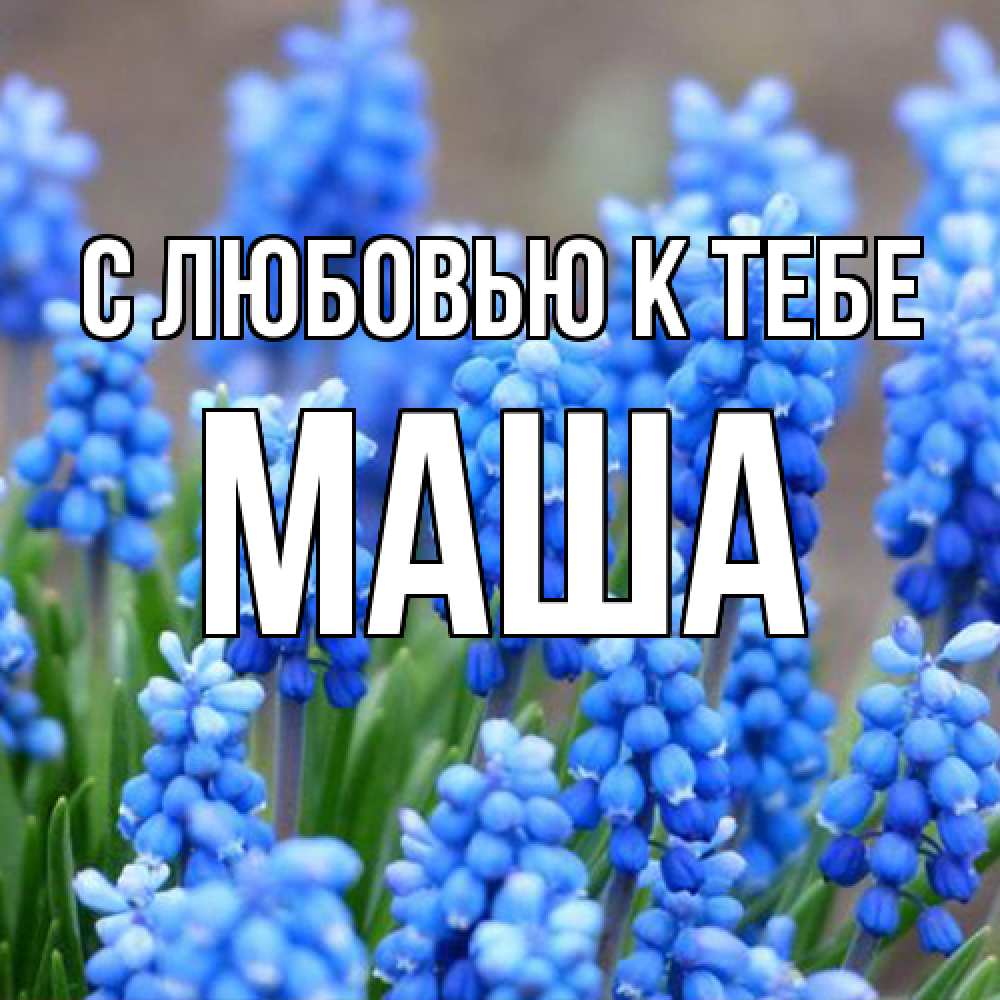 Открытка  с именем. маша, С любовью к тебе  