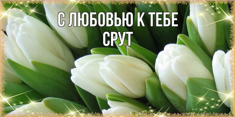 Открытка  с именем. срут, С любовью к тебе  