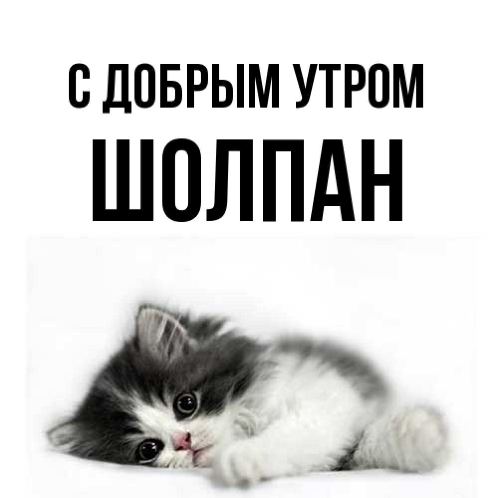 Открытка  с именем. Шолпан, С добрым утром  