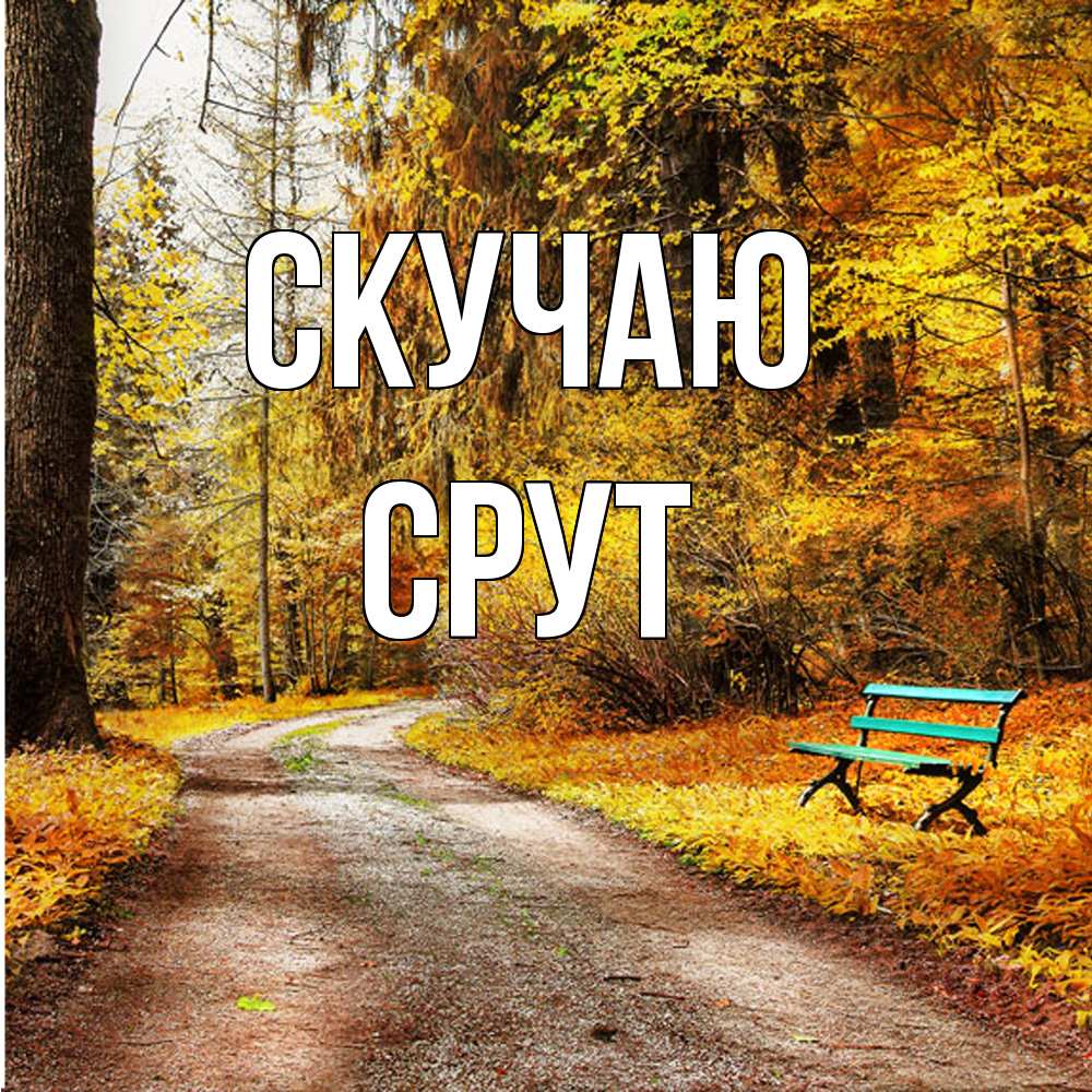 Открытка  с именем. срут, Скучаю  