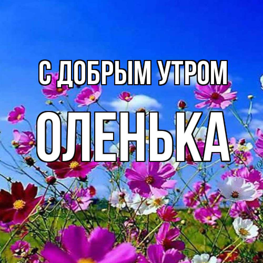 Открытка  с именем. Оленька, С добрым утром  