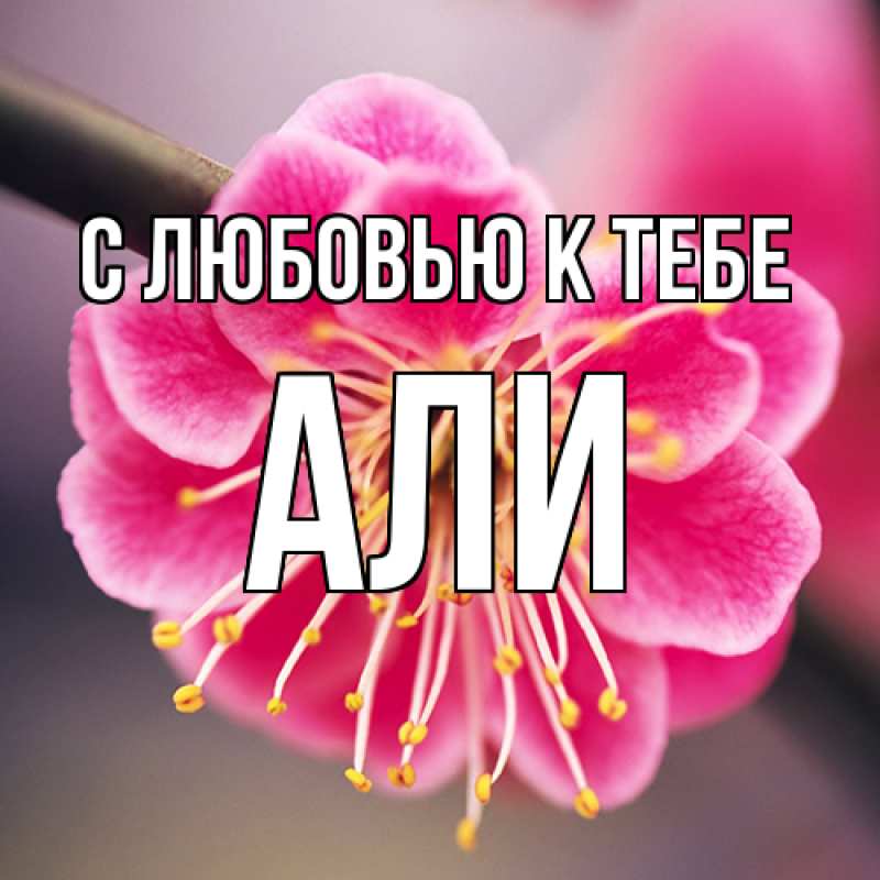Картинка С любовью к тебе, Али