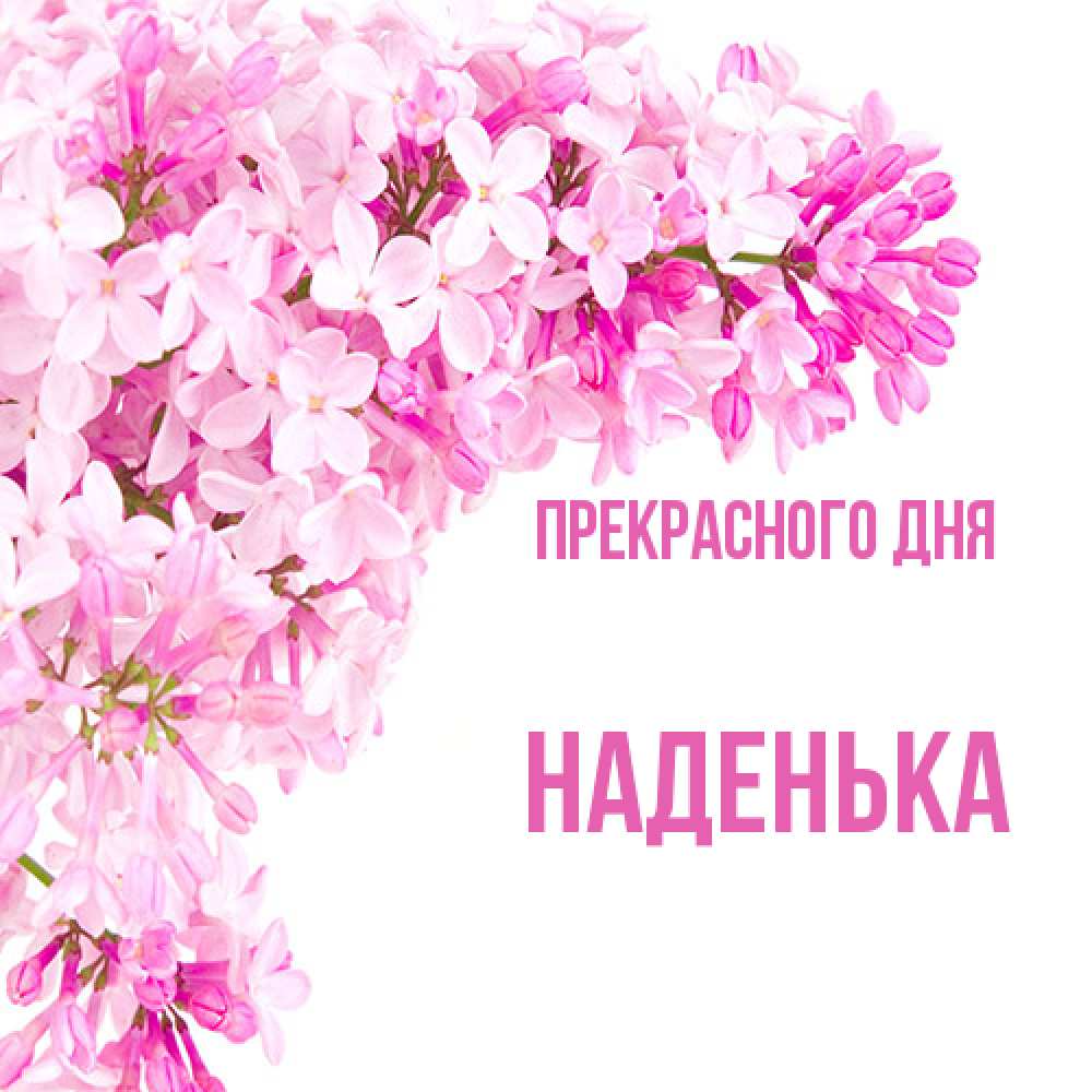 Открытка  с именем. Наденька, Прекрасного дня  