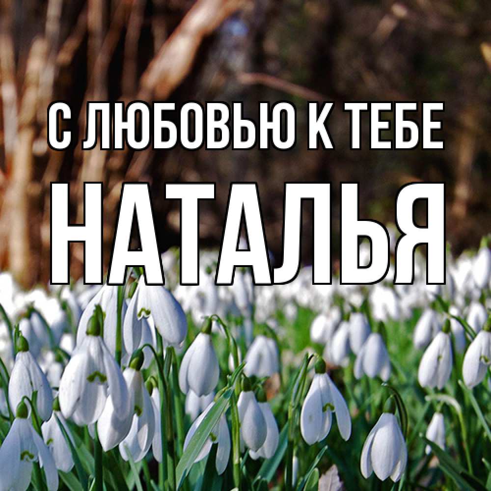 Открытка  с именем. Наталья, С любовью к тебе  