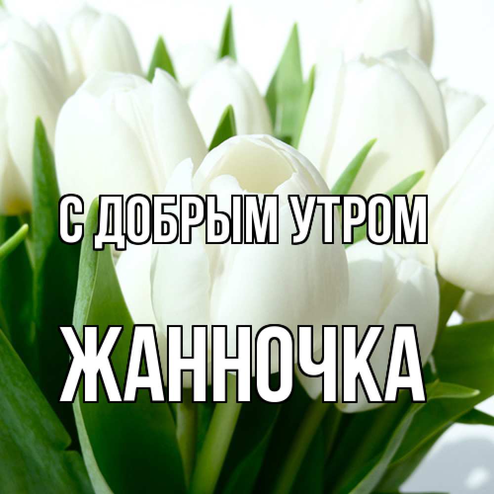 Открытка  с именем. Жанночка, С добрым утром  