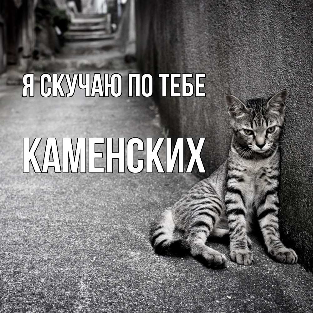 Открытка  с именем. Каменских, Я скучаю по тебе  