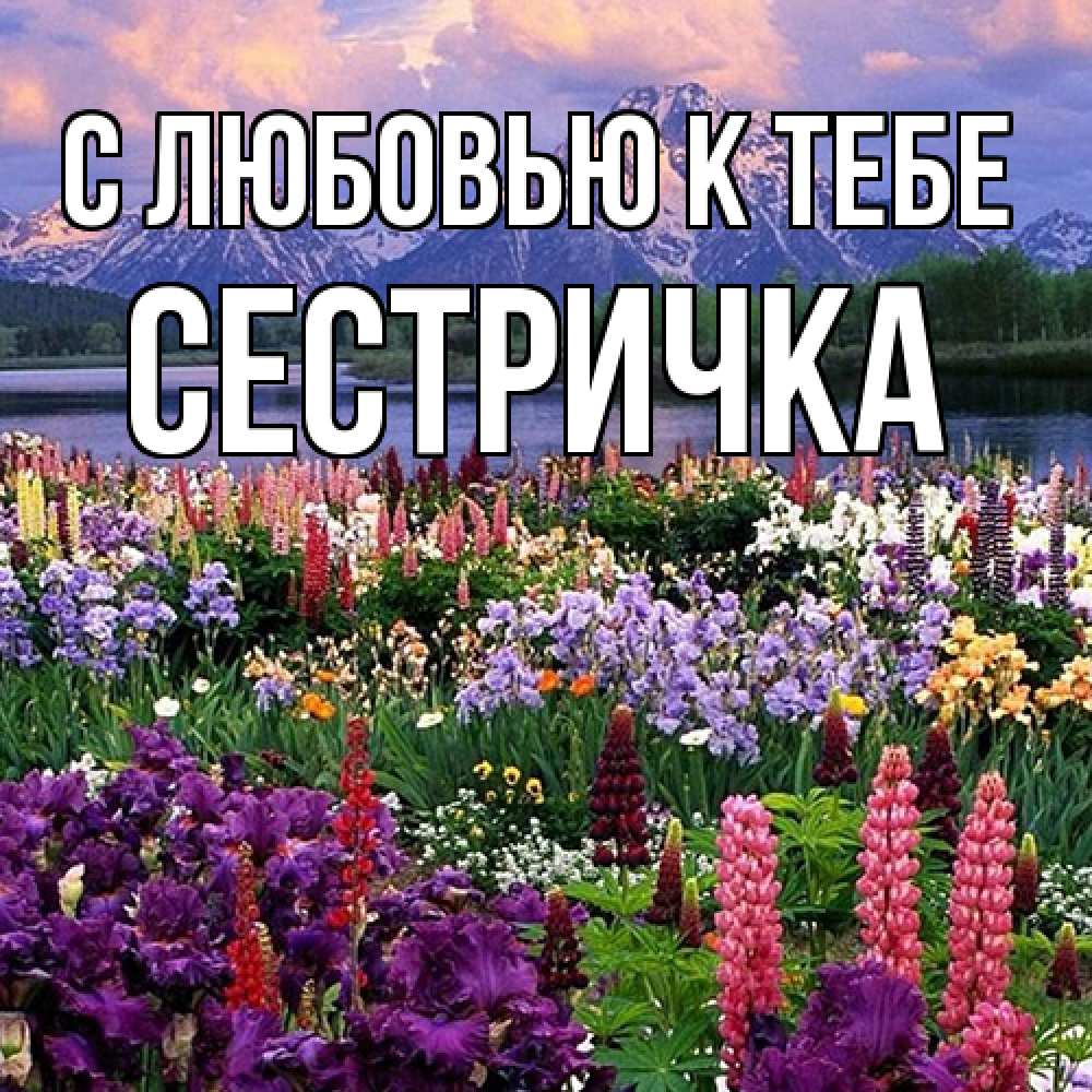 Открытка  с именем. Сестричка, С любовью к тебе  