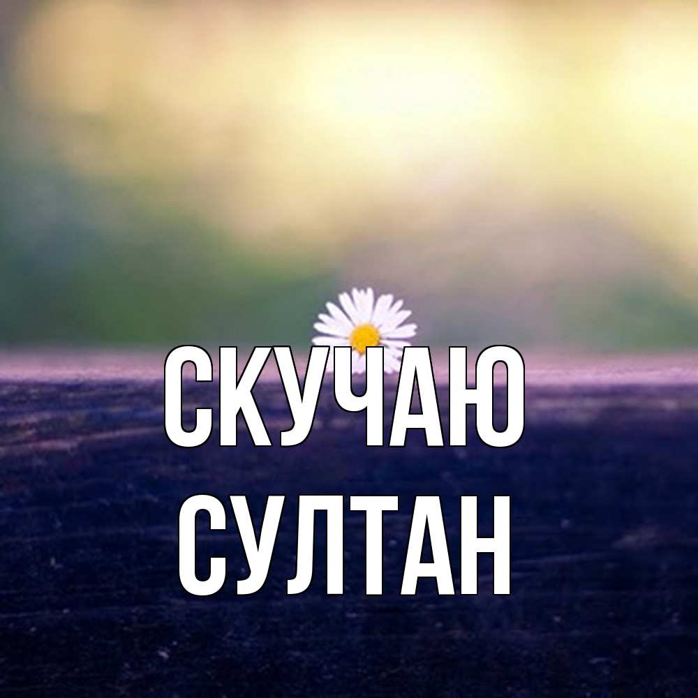 Открытка  с именем. Султан, Скучаю  