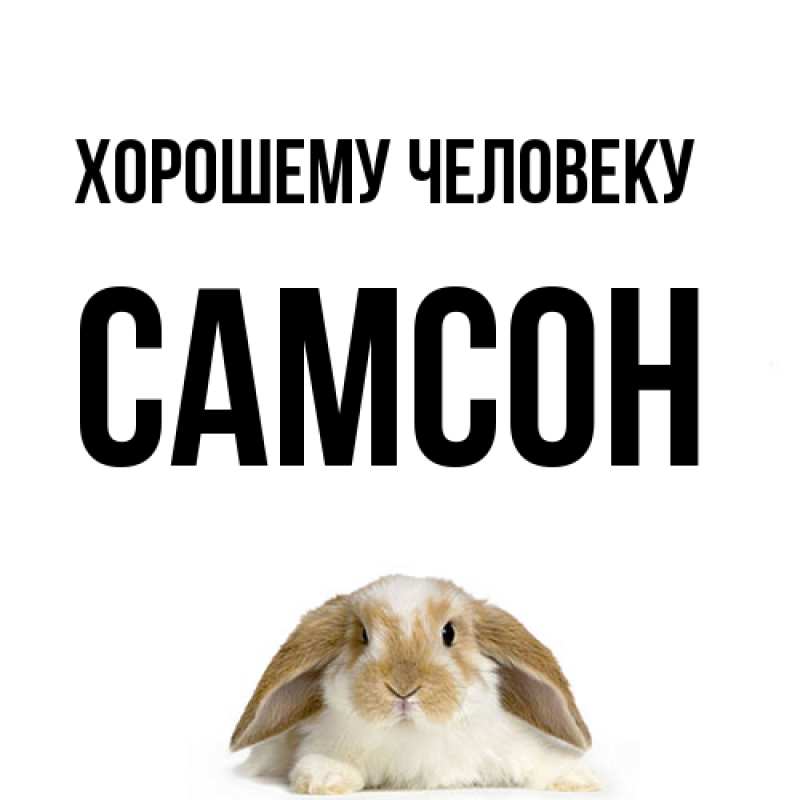 Картинка Хорошему человеку, Самсон