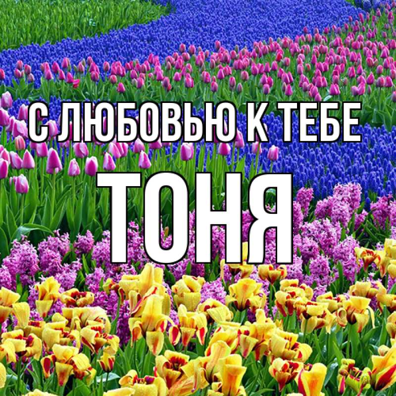 Картинка С любовью к тебе, Тоня