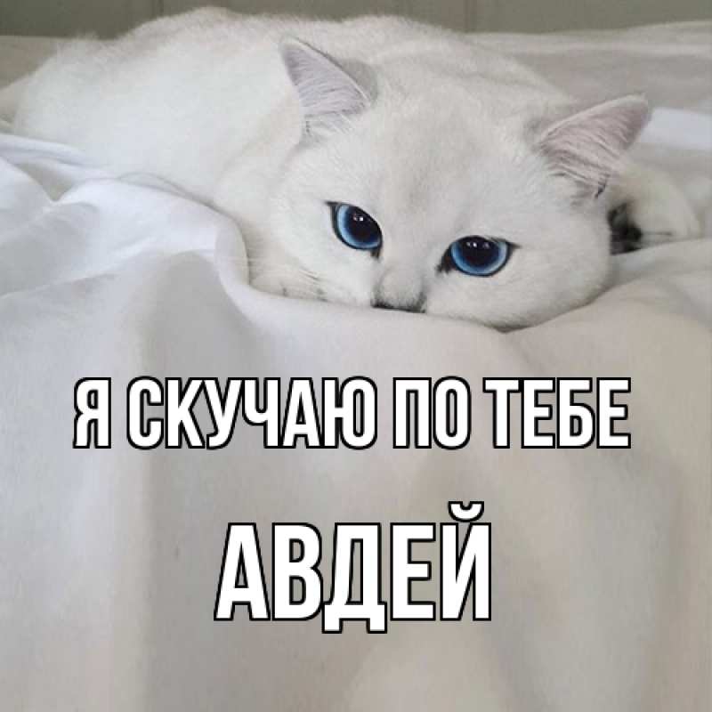 Картинка Я скучаю по тебе, Авдей