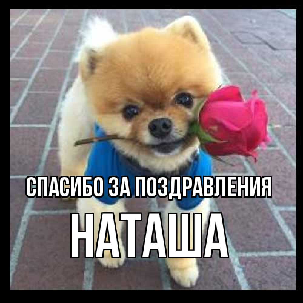 Открытка  с именем. Наташа, Спасибо за поздравления  