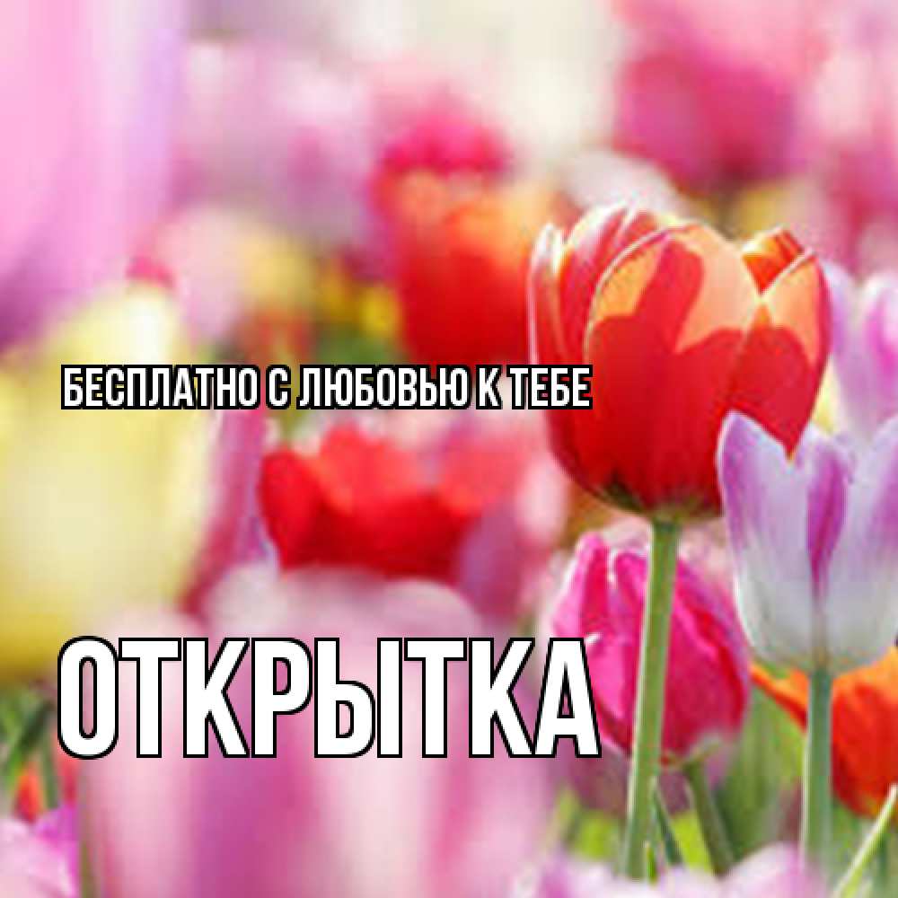 Открытка  с именем. открытка, С любовью к тебе  