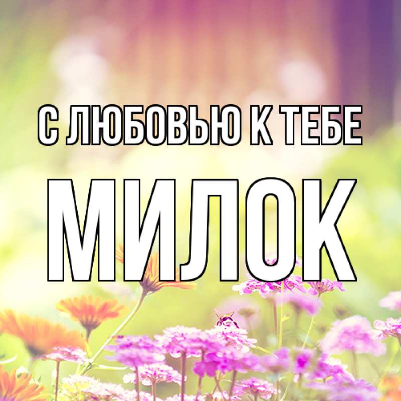 Картинка С любовью к тебе, Милок