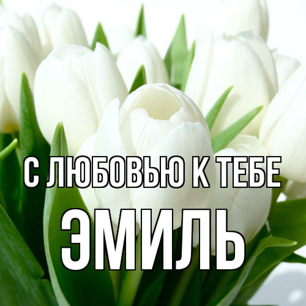 Открытка  с именем. Эмиль, С любовью к тебе  