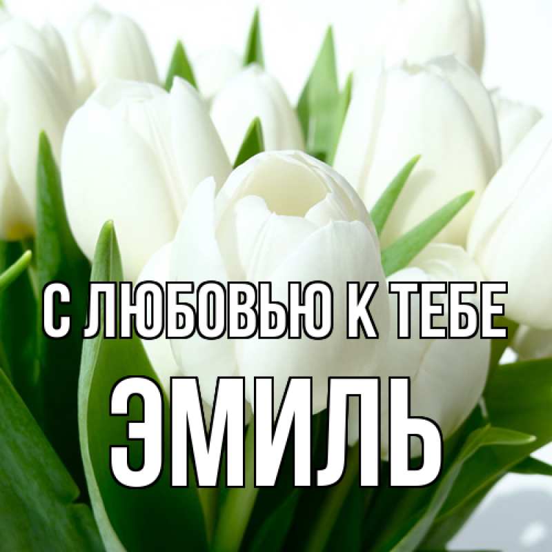 Картинка С любовью к тебе, Эмиль