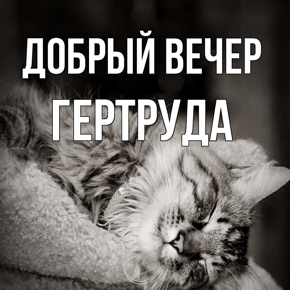 Открытка  с именем. Гертруда, Добрый вечер  