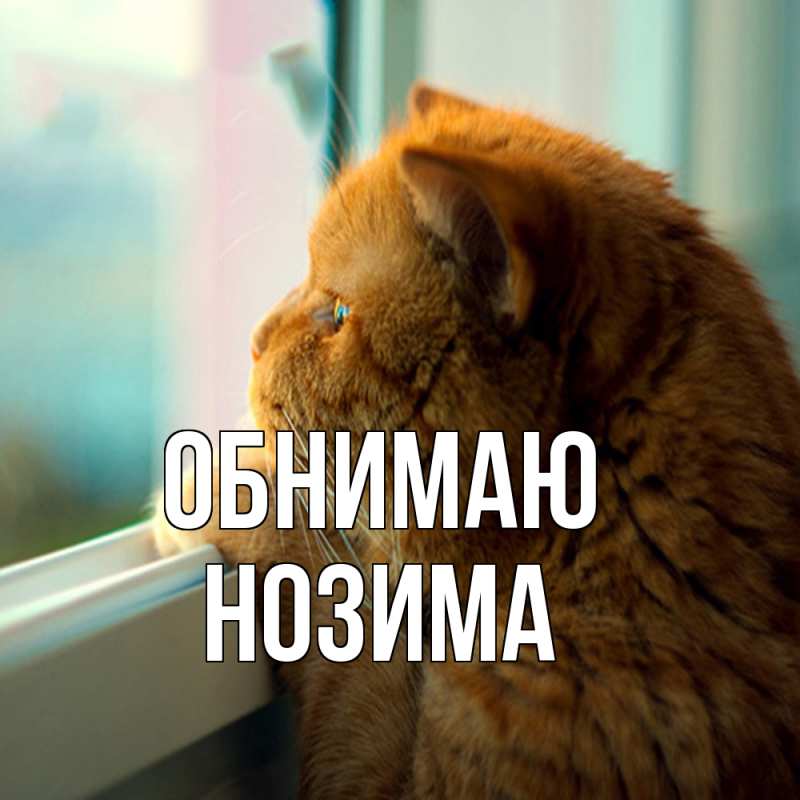 Открытка с именем, Нозима, Обнимаю