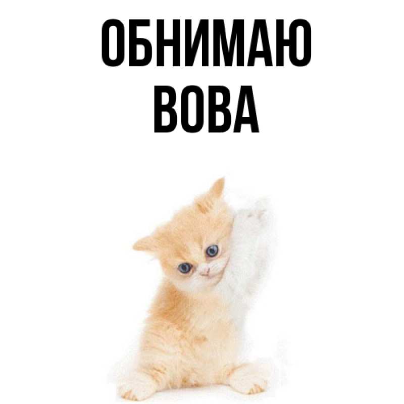 Картинка Обнимаю, Вова