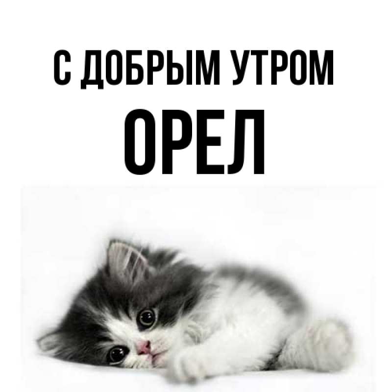 Картинка С добрым утром, Орел