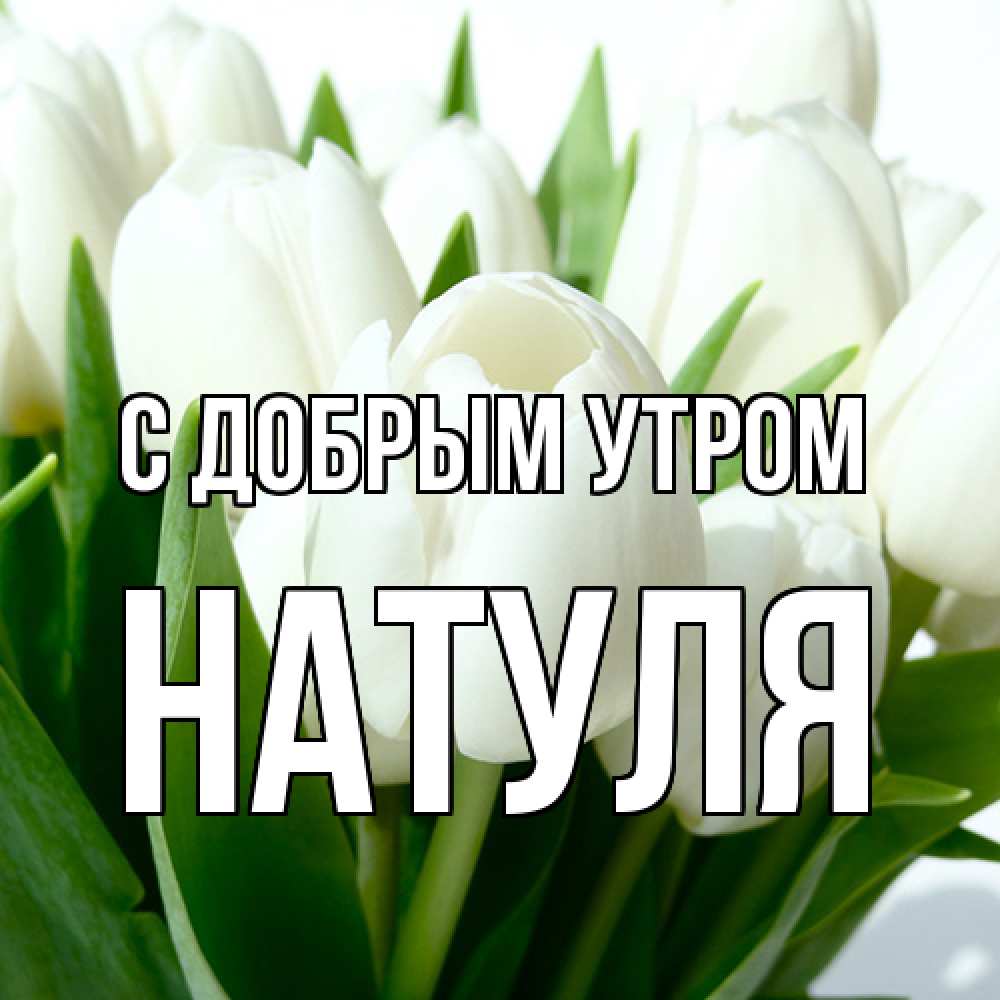 Открытка  с именем. Натуля, С добрым утром  