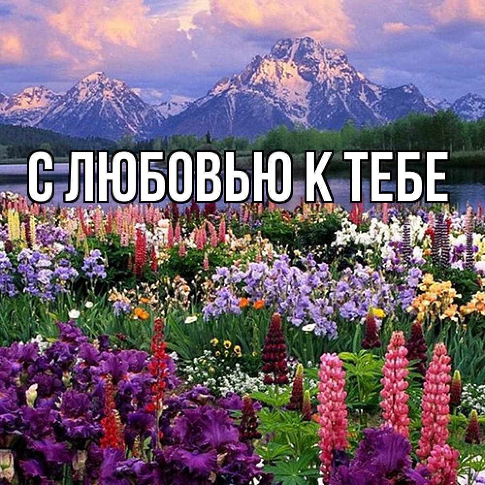 Открытка  с именем. выберите-имя, С любовью к тебе  