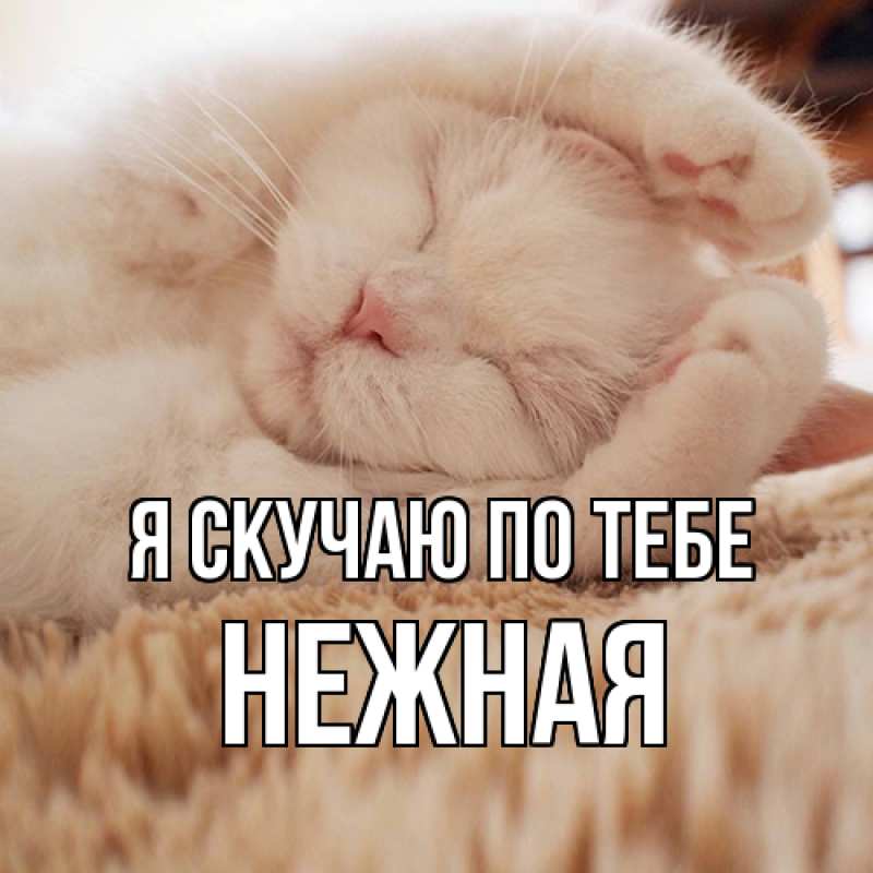 Открытка с именем, Нежная, Я скучаю по тебе
